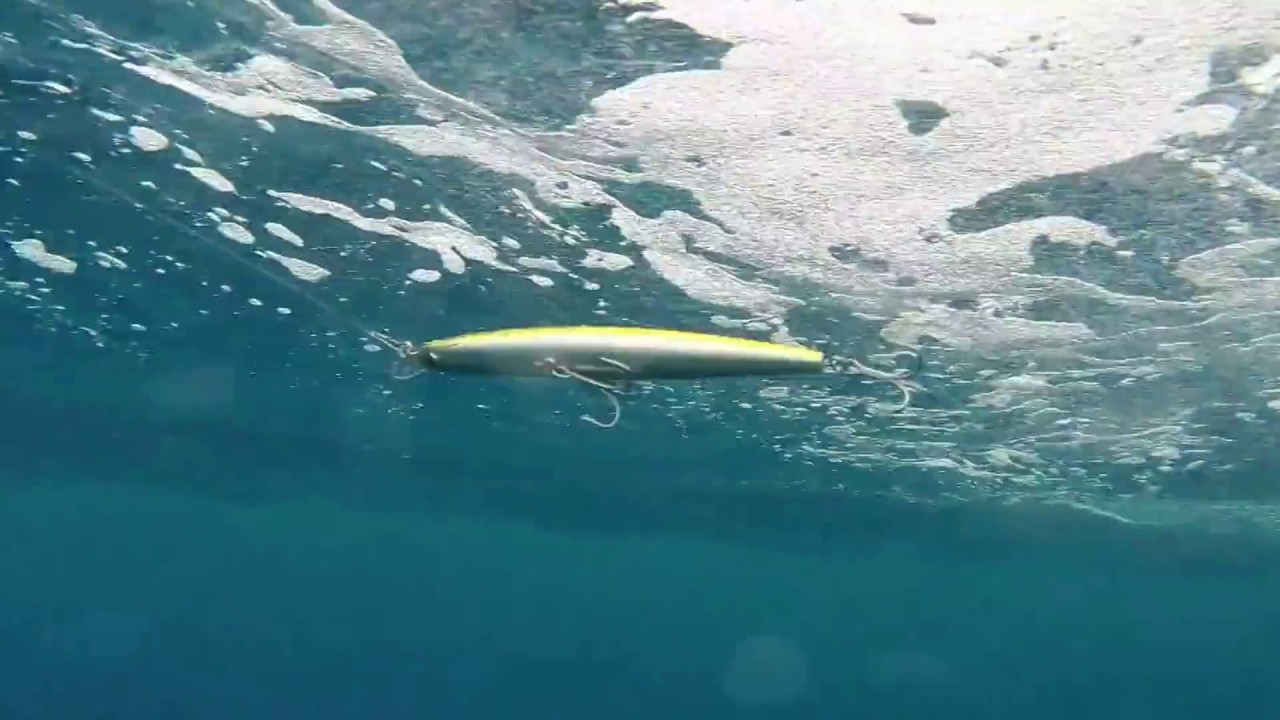 How Lures Swim Daiwa SP Minnow Floating YouTube