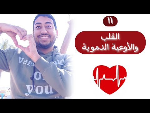 تخصص القلب و الاوعية الدموية هل هو تخصص باطني فقط مميزات و عيوب و طبيعية التخصص 