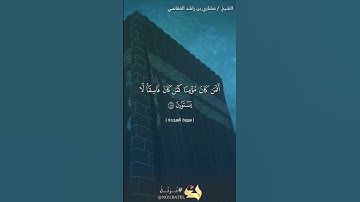 سورة السجدة الآية 18  #نرتل @قرآن #قرآن كريم