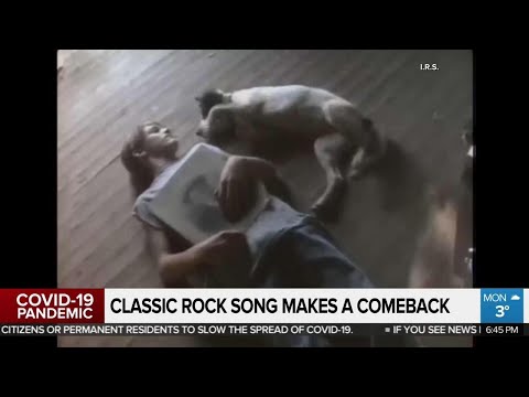 north-american-box-office-hits-20-year-low