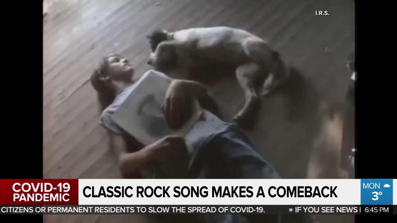 North American box office hits 20-year low