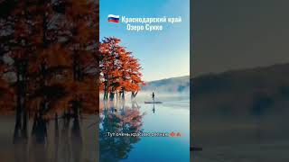 #КудаСъездить : Озеро Сукко 🍁🍂Друзья, это кипарисовое озеро красиво в любое время года 🙌Были там? 🙂