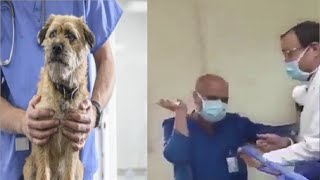 عاجل| فيديو جديد لواقعة السجود لكلب «مسك الكلب بإيديه وأجبر الممرض على أفعال شاذه»