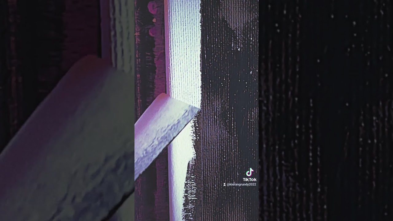 My Venus Fly Trap Painting 