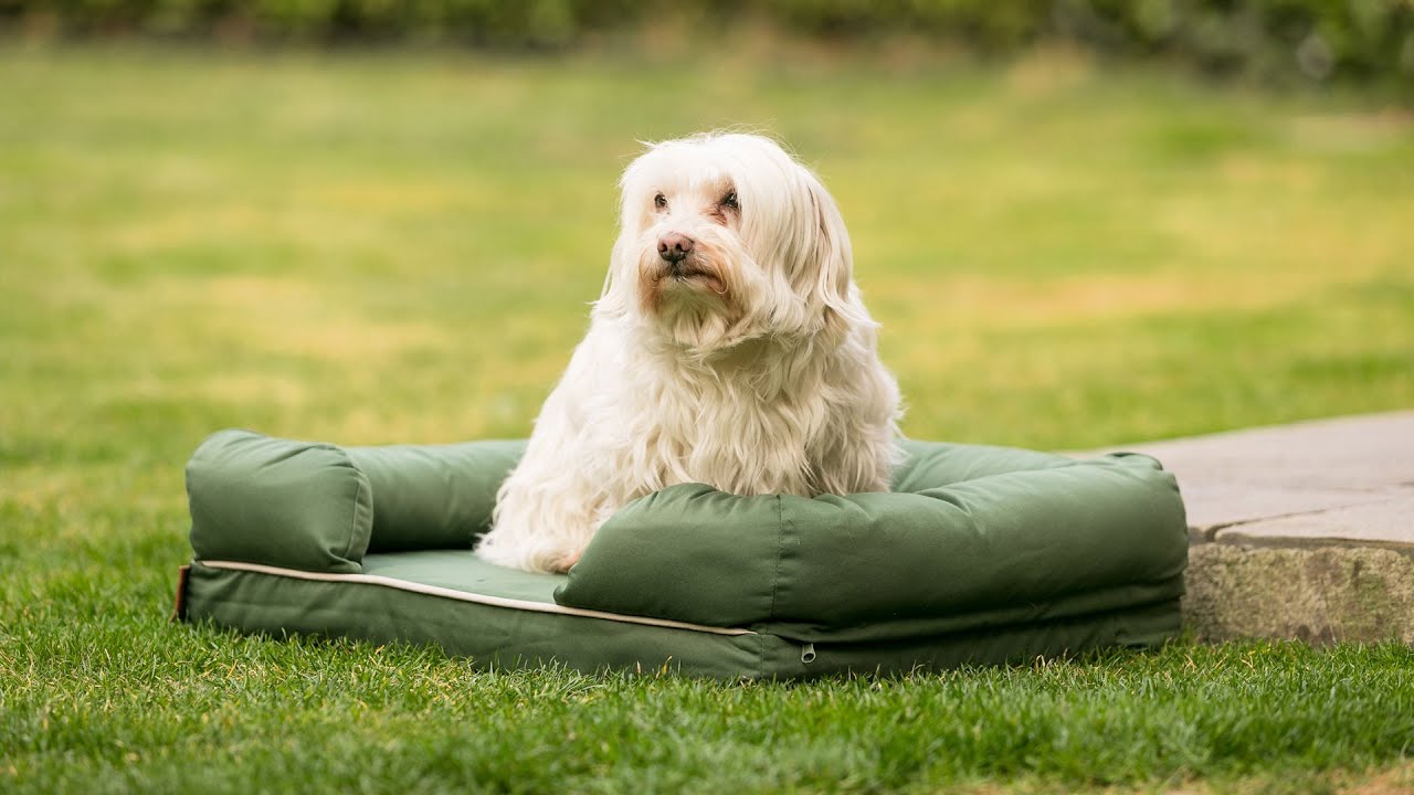 Cuscino per Sedia in Memory Foam, Treers -Cuscini Sedie Quadrati ? Supporto e Stabilità Perfetti Rivestimento Lavabile per Sedia da Ufficio e Sedia a rotelle (Marrone,40x40x8cm