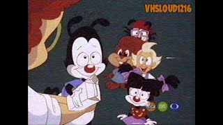 Download Lagu Animaniacs on...Nick on CBS? MP3