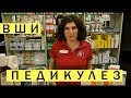 Вши, Педикулез – причины, профилактика, меры борьбы.