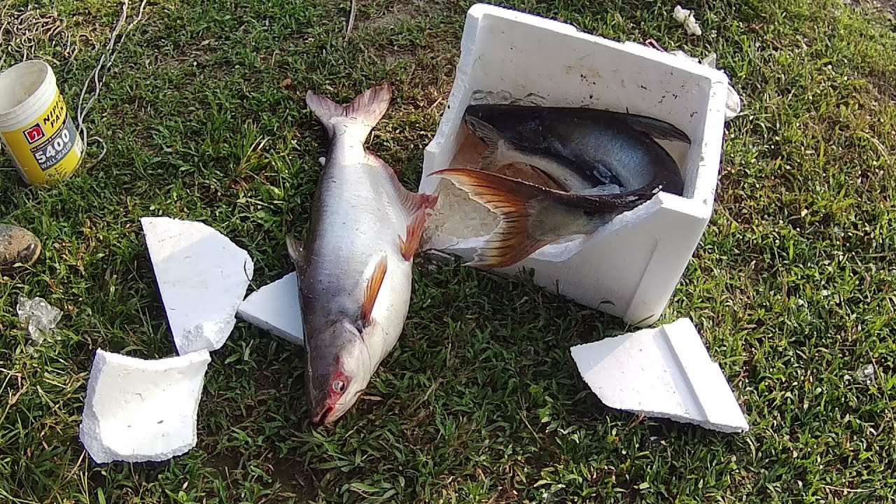 REZEKI DI POT KABEL DAN LOJI AIR SUNGAI SELANGOR