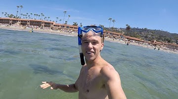 Berenang bersama Hiu Macan Tutul di La Jolla Shores, CA