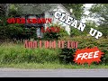 Major lawn clean up overgrown jungle and i did it for free