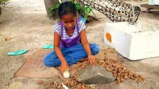 Maldivian Girl & Kanamadhu Nuts