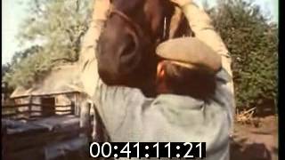 Василий Шукшин-Верность(1990) Василий Шукшин-Верность(1990)