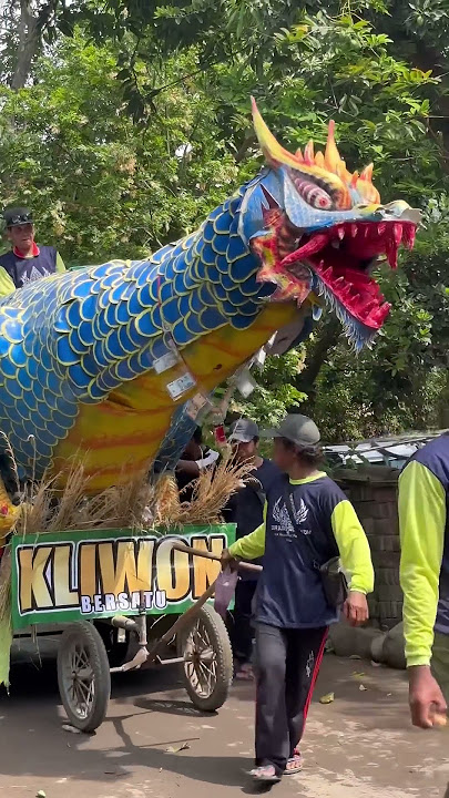 Semarak karnaval sedekah bumi desa Pasuruan Losari #shortvideo