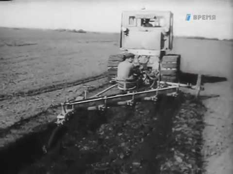"Здравствуй, земля целинная" - кинохроника 50-х гг.