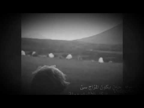 سامع حبيب روح