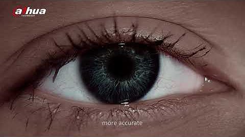 Dahua AI Technology - WizSense