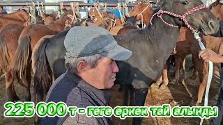 картинка: 06.10.25Сарыағаш мал базарыЖылқылар,биелер,биелер құлынымен,аттар,құнандар,дөнендер,байталдар,тайлар