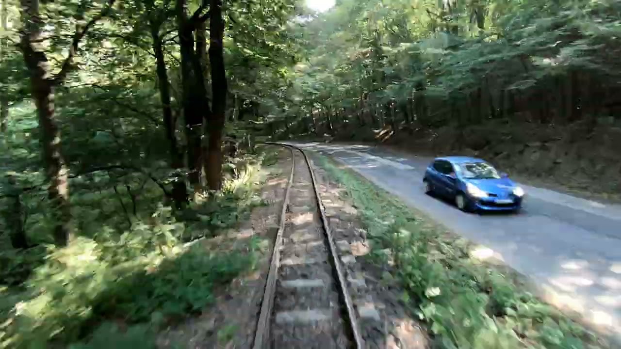 The Line Szob - Nagyirtáspuszta (Nr. 318.) 20230910 5x 4kup