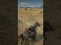YeeHaw! #reddeadredemption #reddeadredemption2 #reddeadredemtion2 #reddeadonline #gameplay #gaming