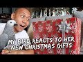 My Bird Reacts to Her New Christmas Gifts | Vlog #349
