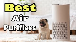 Top 10 Best Air Purifiers for Pets in 2023 | Buy on Amazon