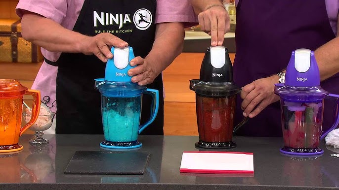 Ninja Storm 450-Watt 40 oz. Food and Drink Maker with Recipes - 9547375