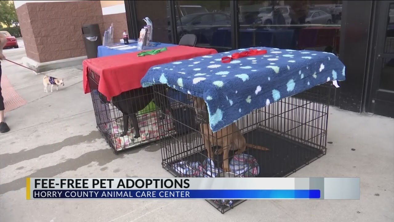 Horry County Animal Care Center hosts freefee pet adoption event