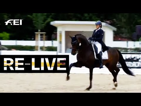 RE-LIVE Qualifier 7 y/o | FEI WBFSH Dressage World Breeding Champs. for Young Horses 2021 | Verden??