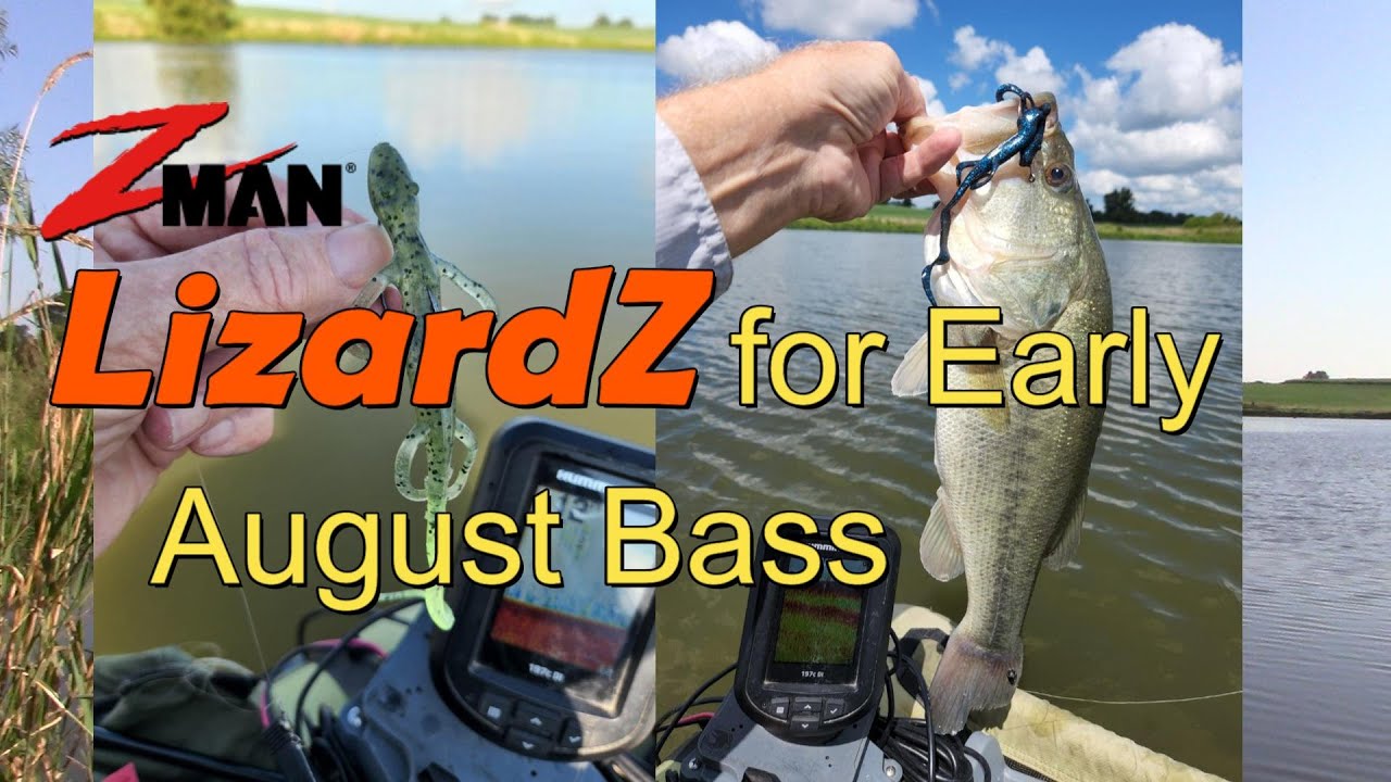 Z-Man LIZARDZ for Early August Bass