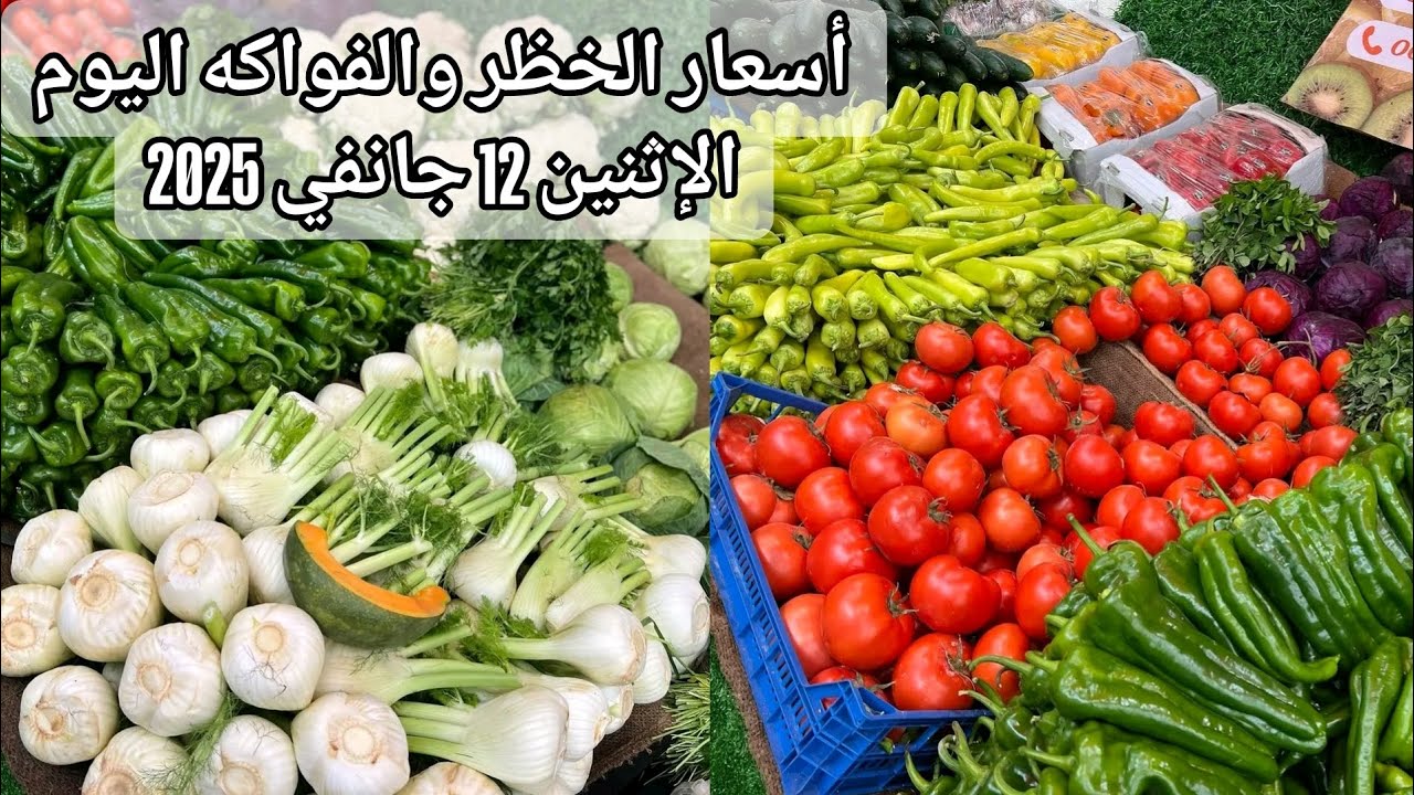 أسعار الخظر والفواكه اليوم الإثنين 12 جانفي 2026 من سوق الجملة بالجزائر marché de gros