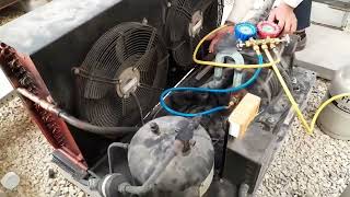 How to charge gas in cold room#digital Cold Room Unit gas charging kaise kare#l R404 gas pressure