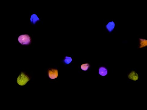 Relaxing Lightshow ASMR✨ Whispered Positive Affirmations🌀💜