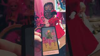 Coffee and Cards With The Dolls