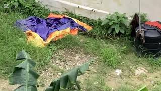 Two legendary cats and two legendary fights. Fighting for they’re territory