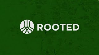 Rooted in Christ: Transformative Encounters and Abiding Faith