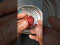 Unique Way To Grow Lychee Plant Shorts Short Unique Way To Grow Lychee Plant Shorts Short