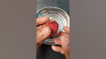 Unique way to grow lychee plant #shorts #short