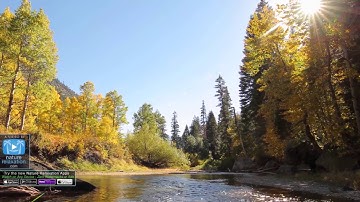 خالد الجليل (الملك يومئذ لله) سوره الحج روعه