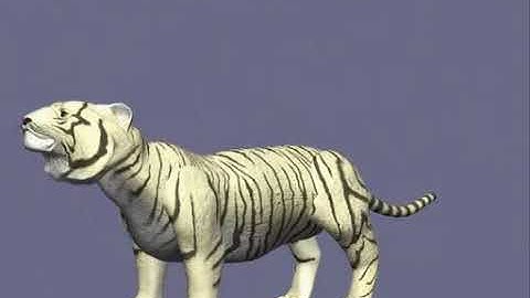 Beast Wars   S2   Special Features   Character Models 5