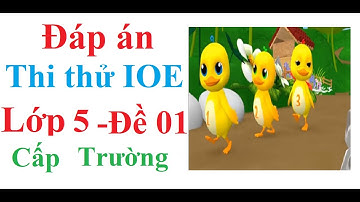 IOE| Thi thử IOE cấp trường lớp 5 Đề 01, đáp án chuẩn, đầy đủ