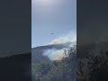 Large forest fire in Italy forces thousands to evacuate