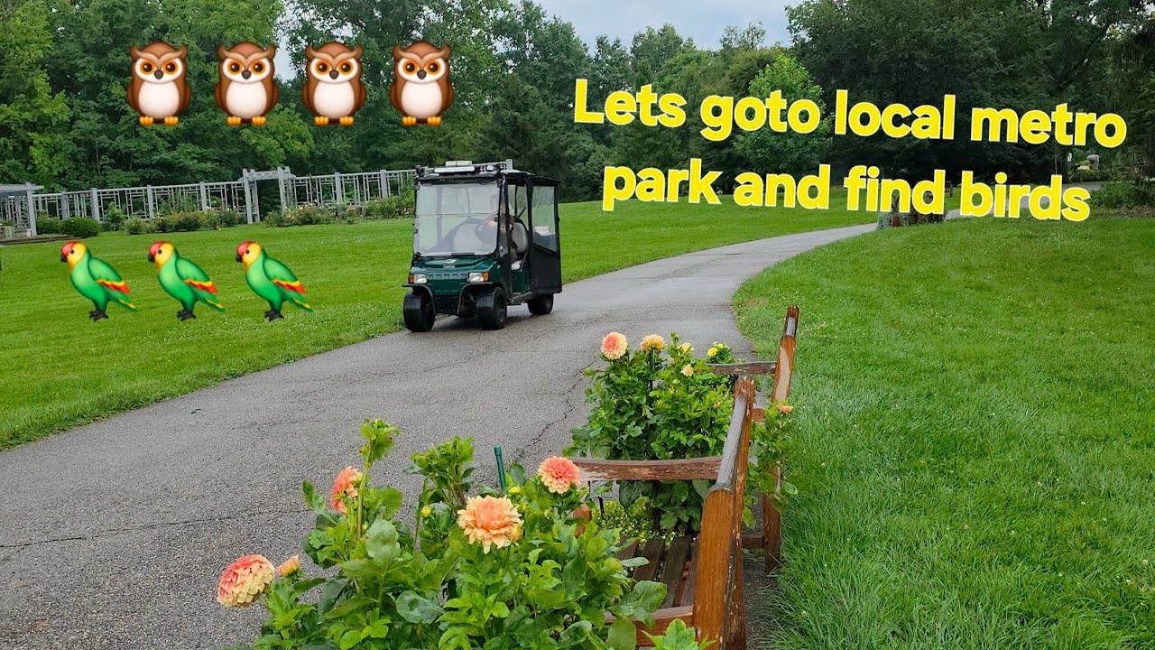 🦜Lets goto a local metro park in columbus ,ohio, usa  and find birds and meet people  🦜