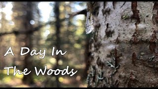 Wilderness Trail Maintenance and Backcountry Burgers