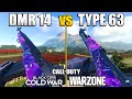 Which Overpowered Gun is Better in Warzone? DMR 14 vs Type 63 | CW Comparing Stats & Class Setups