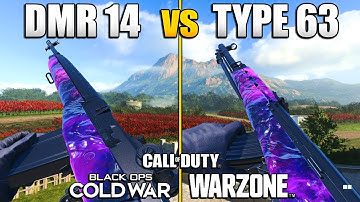 Which Overpowered Gun is Better in Warzone? DMR 14 vs Type 63 | CW Comparing Stats & Class Setups