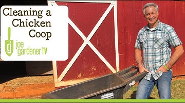 Deep Litter Method - Cleaning a Chicken Coop