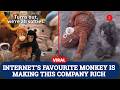 IKEA Sells Out Viral Orangutan Plushie Favoured By Abandoned Monkey | Japan Monkey Punch