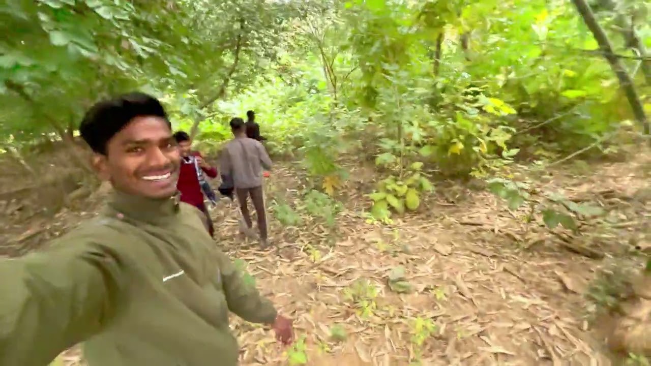 Day 3/365 Jungale Me masti Karte Huye 