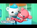 Octonauts  close encounters  ocean adventures  cartoons for kids  underwater sea education