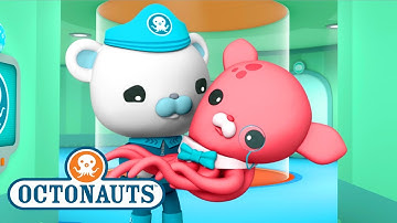 Octonauts - Close Encounters | Ocean Adventures | Cartoons for Kids | Underwater Sea Education